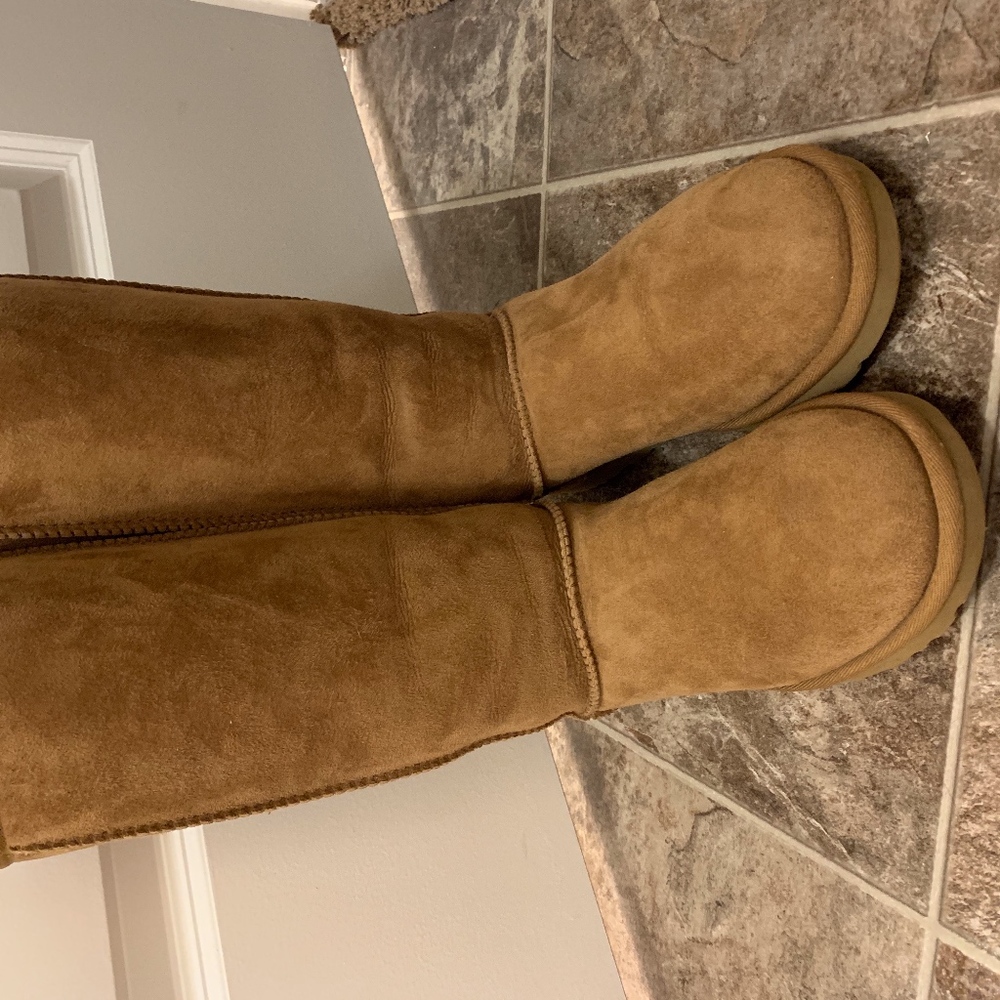 UGG Boots, Classic Tall Chestnut + cleaning kit